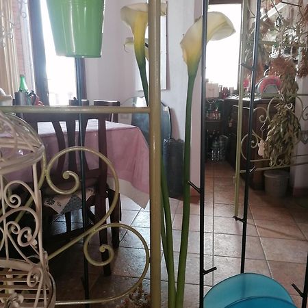 B&B CasaCorì Orosei Ngoại thất bức ảnh