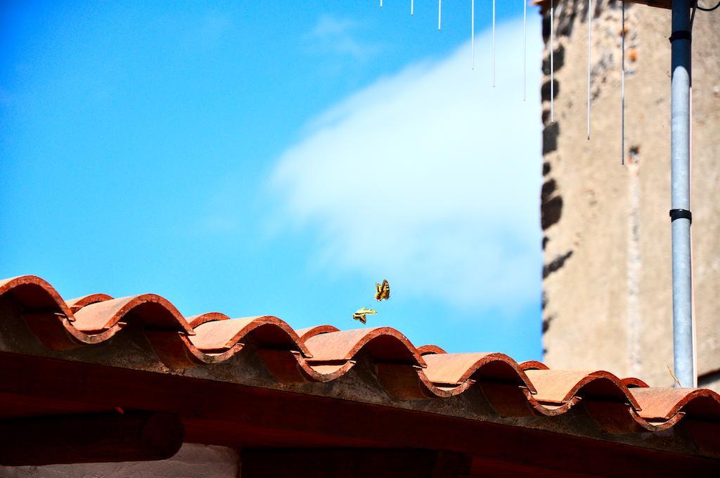 B&B CasaCorì Orosei Ngoại thất bức ảnh